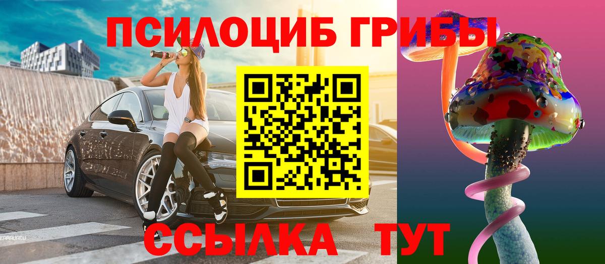 Нефтекумск  Псилоцибиновые грибы GOLDEN TEACHER  цены   Вход с VPN 